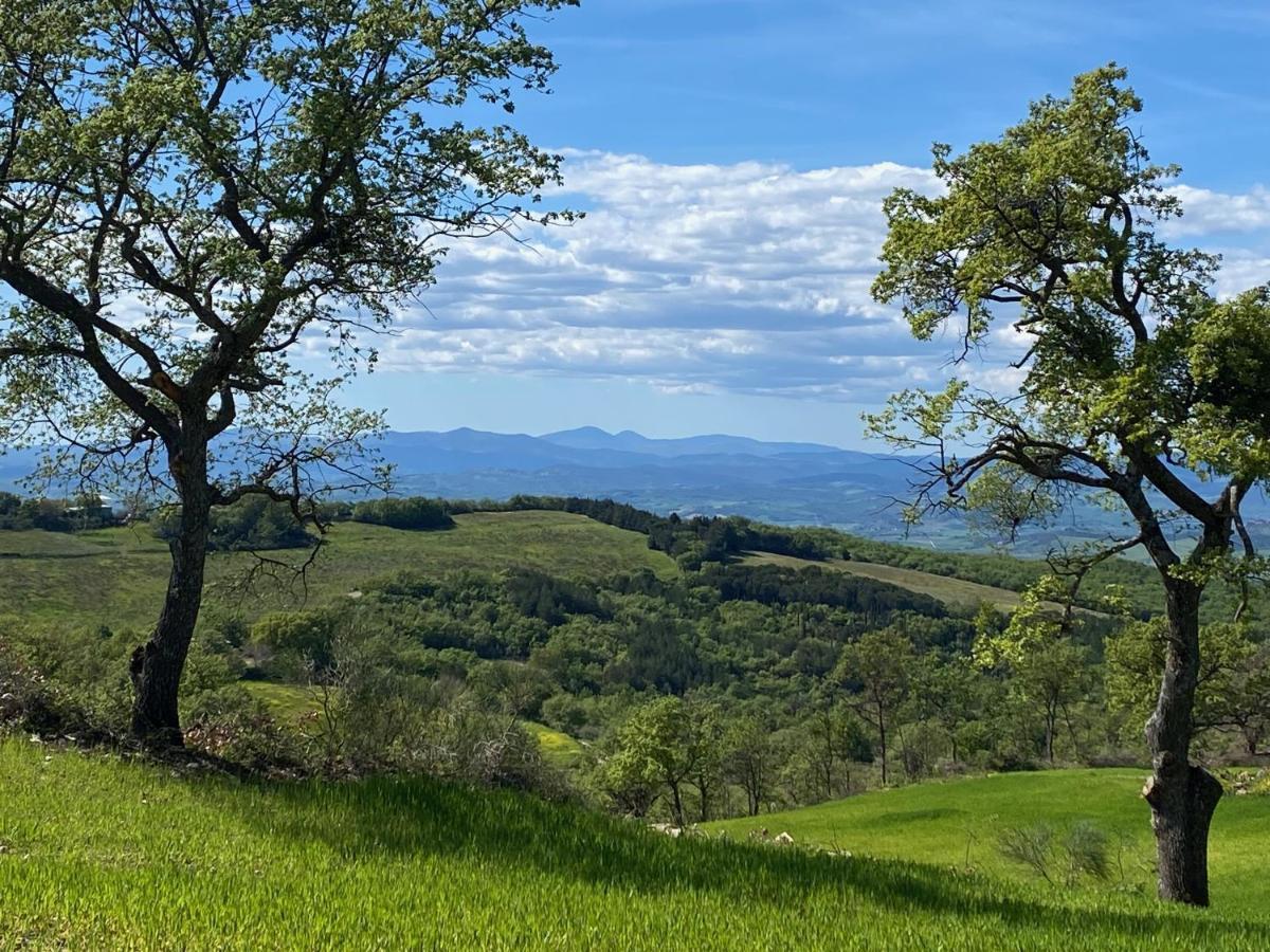 La Colombaia Amiata Bed and Breakfast Arcidosso Εξωτερικό φωτογραφία