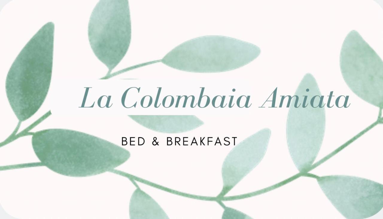 La Colombaia Amiata Bed and Breakfast Arcidosso Εξωτερικό φωτογραφία